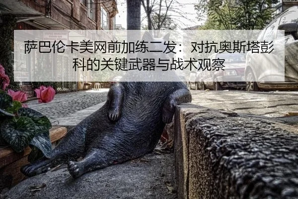 sa-ba-lun-ka-mei-wang-qian-jia-lian-er-fa-dui-kang-ao-si-ta-peng-ke-de-guan-jian-wu-qi-yu-zhan-shu-guan-cha-3-329.jpg